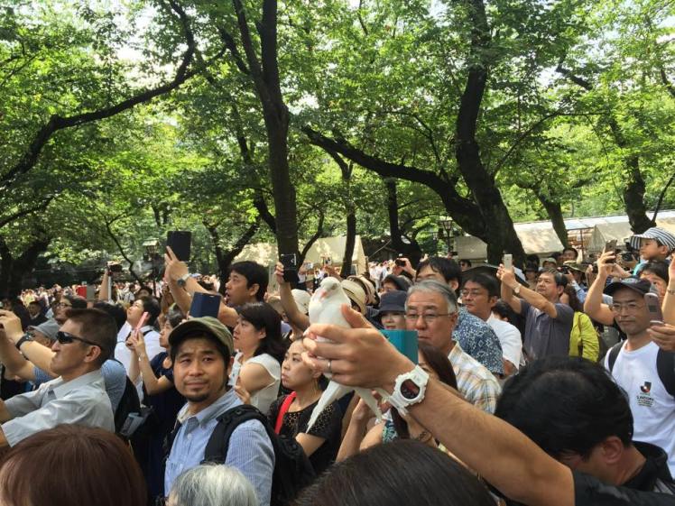 11846580_10153044765777196_1333757035266844935_n