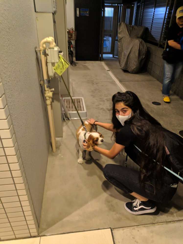 הכלב היומי 4#